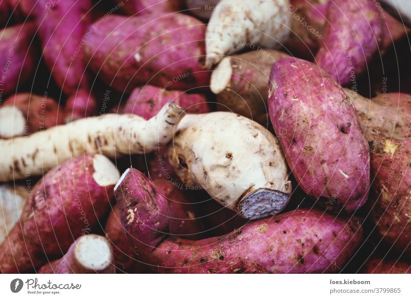 Detailansicht von violetten Süßkartoffeln und weißem Wurzelgemüse auf einem lokalen Markt in Merida, Yucatan, Mexiko Gemüse Detailaufnahme purpur süß Ackerbau