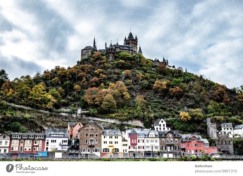 wein Wahrzeichen bunt Fassade Häuser Burg oder Schloss Sehenswürdigkeit Cochem reichsburg Stadt Wald Ferien & Urlaub & Reisen Natur Außenaufnahme Umwelt Wolken