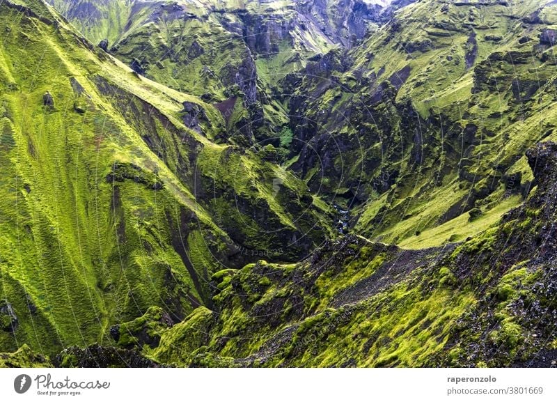 Blick in eine felsige, schroffe Schlucht bei Thakgil, Island Felsen grün abweisend Berge Hänge Landschaft einsam Außenaufnahme Natur menschenleer wandern Urlaub