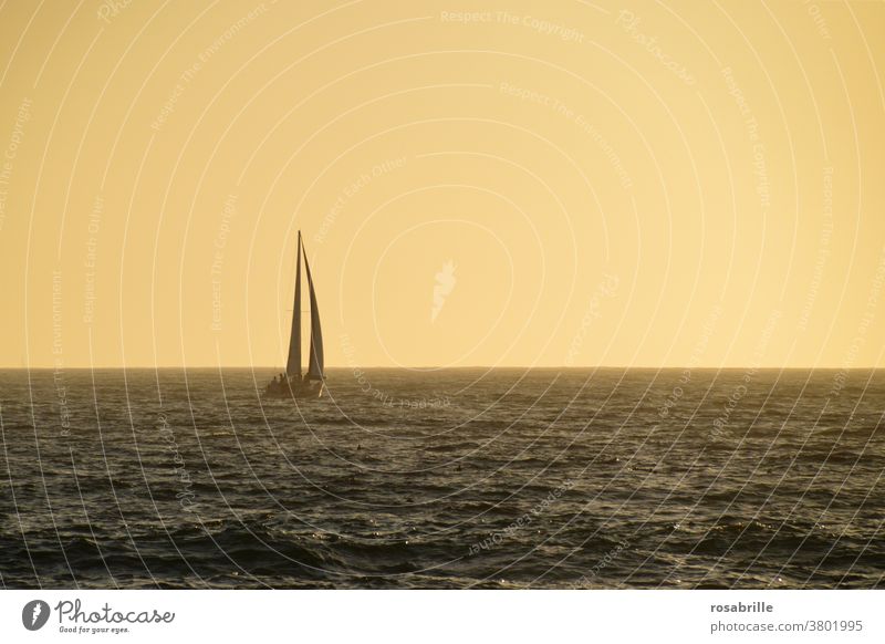 weit weg | Segelboot im Abendlicht segeln Freiheit Ferne frei Meer Urlaub Freizeit Ferien Erholung abends Abenddämmerung orange Weite endlos Horizont alleine