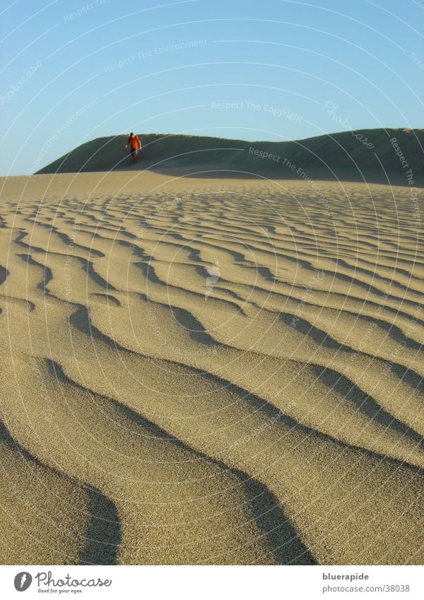 Sanddünenmuster Muster körnig Wellen Stranddüne Wüste Korn Strukturen & Formen Himmel blau Sandkörn