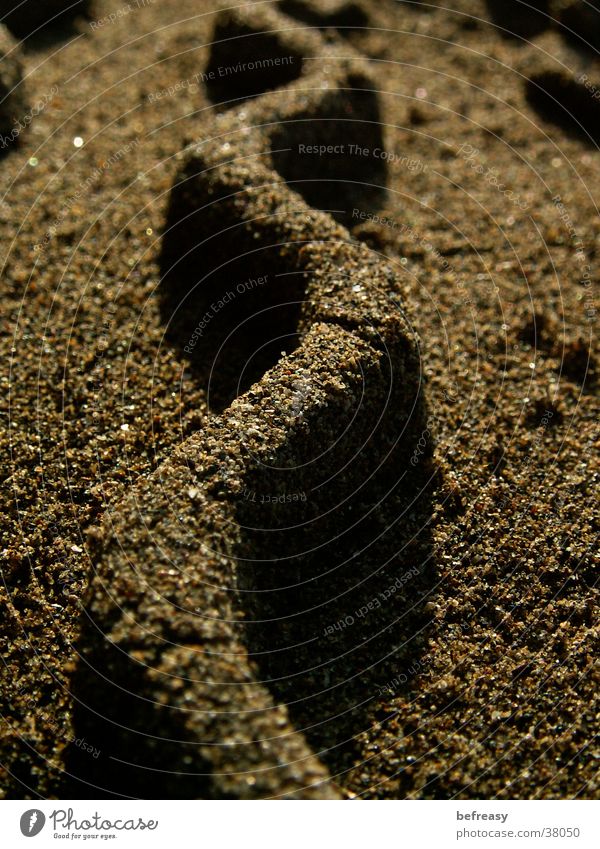 Sandwelle braun Sandkorn Reifenspuren Wellen Zickzack Makroaufnahme Nahaufnahme Sandmauer Sandmuster