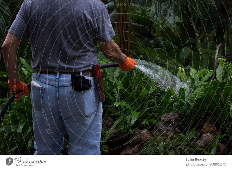 Gärtnerin mit orangefarbenen Handschuhen beim Gießen von Farnen und Pflanzen im botanischen Garten begeisternd arbeiten Arbeiter Natur Ackerbau Sicherheit