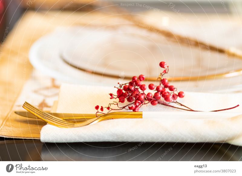 Eleganter gedeckter Tisch für das Weihnachtsessen Weihnachten Ordnung Kerze feiern Feier Champagne Besteck Dekor dekorieren Dekoration & Verzierung dekorativ