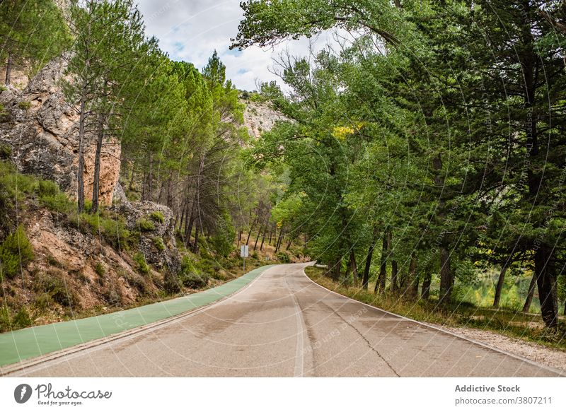 Kurvenreiche Strecke durch bergigen Wald Straße Berge u. Gebirge leer Natur Fahrbahn Land Asphalt Sommer reisen Spanien Cuenca Reise Landschaft Ausflug Weg
