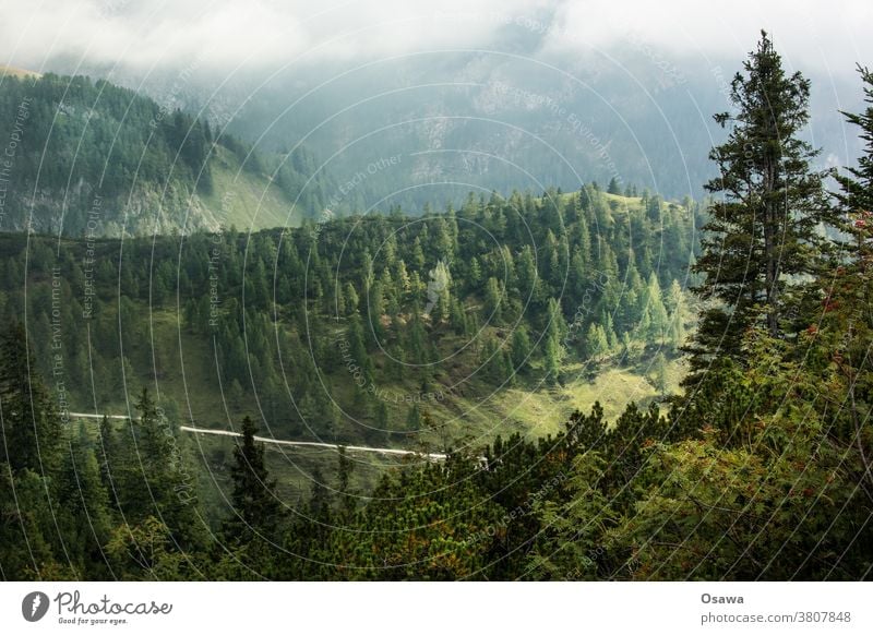 In den Bergen Gebirge Berge u. Gebirge Landschaft Natur Wolken wandern Menschenleer Weg Bäume Wald Bergwald Hügel Hang Aussicht Farbfoto Außenaufnahme Alpen