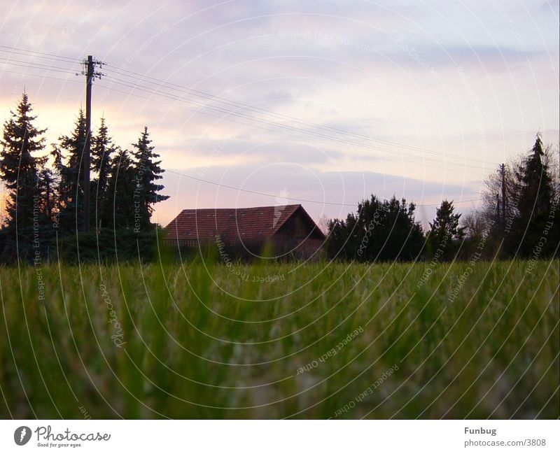 Die alte Scheune gegenüber Gras Oberleitung Froschperspektive Sonnenuntergang ruhig Vergänglichkeit Herbst Abend Himmel Hütte Idylle Hut worms eye calm