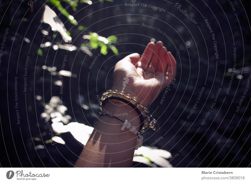 Eine Hand, die sich nach einem dunklen Wald ausstreckt, zeigt das Konzept von Heilung und Frieden bei der Erforschung der Natur Frieden und Heilung finden