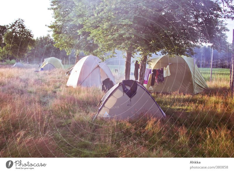 Sommerliches Zeltlager mit Holzfeuerrauch, Wäscheleine, Schweden Ferien & Urlaub & Reisen Abenteuer Ferne Freiheit Camping Sommerurlaub Natur Schönes Wetter
