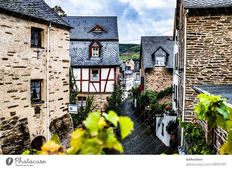 moselgeschichten Architektur Häuser Stadt wandern Rheinland-Pfalz Wege & Pfade Mosel Mosel (Weinbaugebiet) Hunsrück Moseltal Mauern