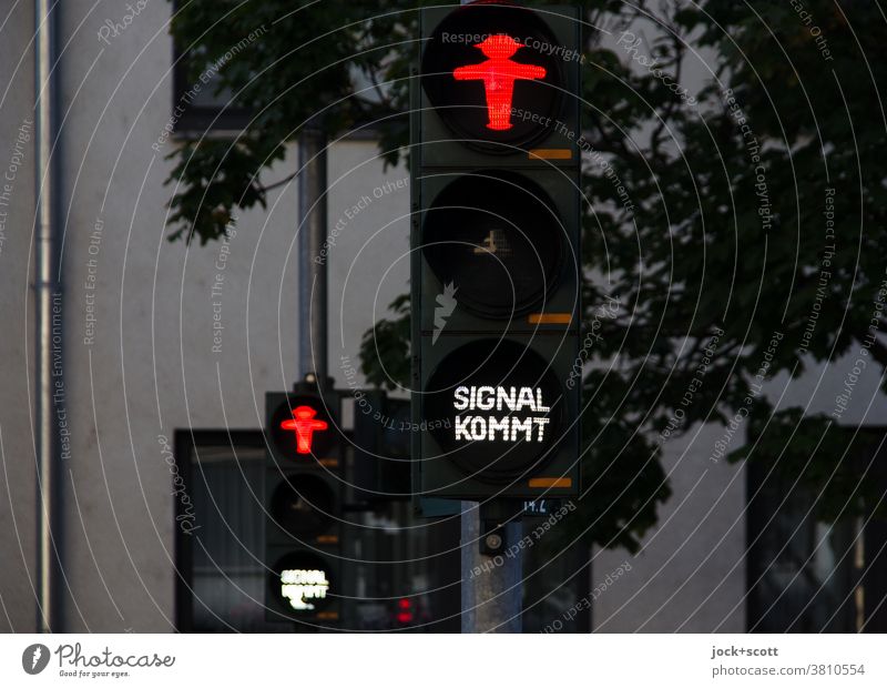 Rote Ampel, Signal kommt für Fußgänger Mobilität Verkehrswege Piktogramm leuchten Fußgängerampel ampelmännchen Verkehrszeichen Wort Technik & Technologie rot