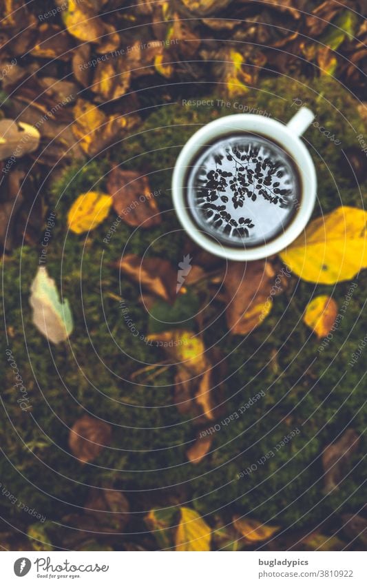 Eine weiße Tasse mit Kaffee / Tee steht auf dem Waldboden. Die Blätter der Bäume spiegeln sich im Getränk. Das Bild ist in Herbstfarben gehalten. Kaffeetasse