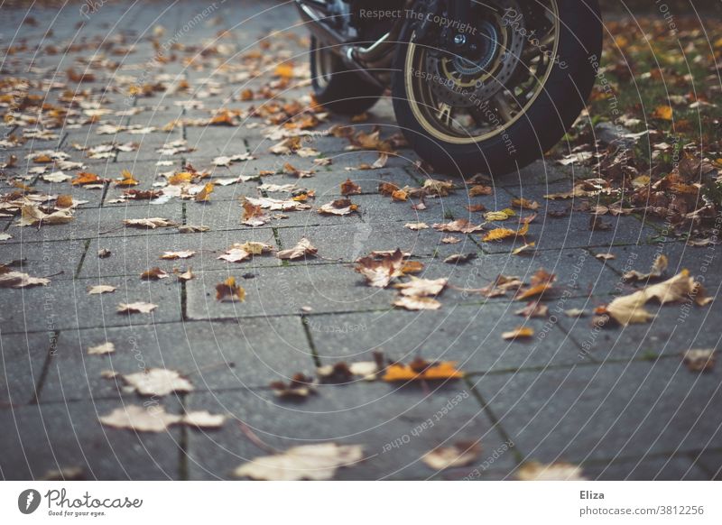 Ein Motorrad steht, umgeben von Herbstlaub, auf dem Gehweg Räder Herbtlaub Laub herbstlich Bürgersteig Motorradfahren Blätter