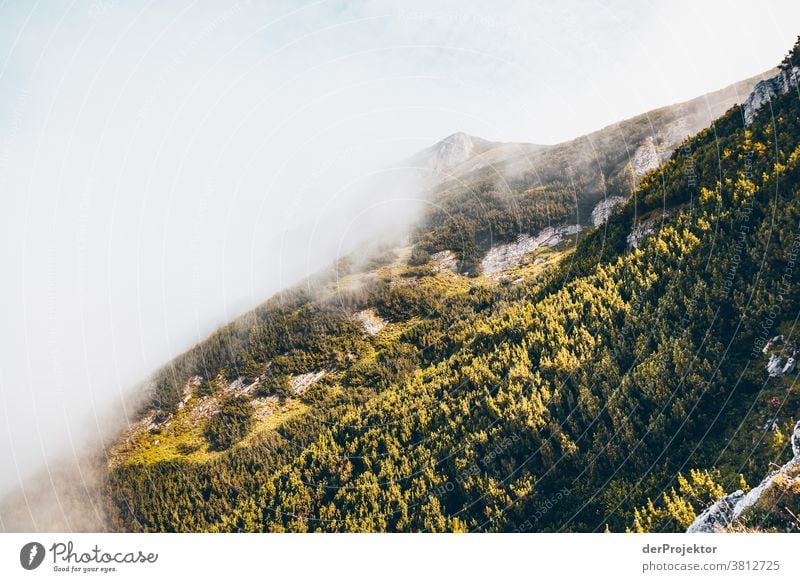 Wanderung mit beschränkter Aussicht über dem Achensee in Tirol in Österreich Alpen Gegenlicht tirol Fernweh Wanderausflug Wandertag Naturschutz Ausdauer
