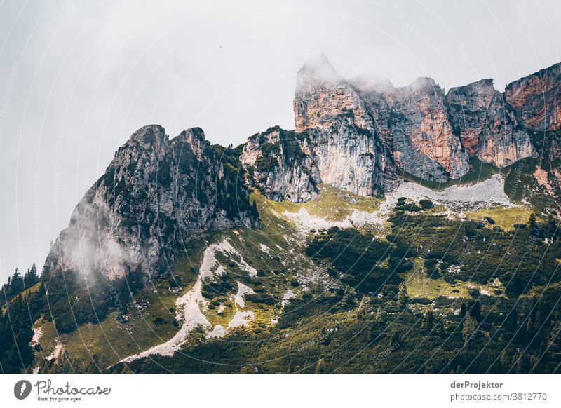 Wanderung mit beschränkter Aussicht über dem Achensee in Tirol in Österreich Alpen Gegenlicht tirol Fernweh Wanderausflug Wandertag Naturschutz Ausdauer