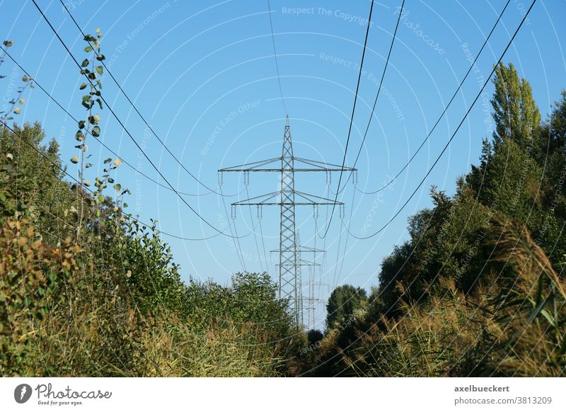 Strommasten mit Hochspannungsleitung oder Freileitung Überlandleitung Stromleitung Energie Elektrizität Kabel Übertragung Mast Pylon Natur Industrie