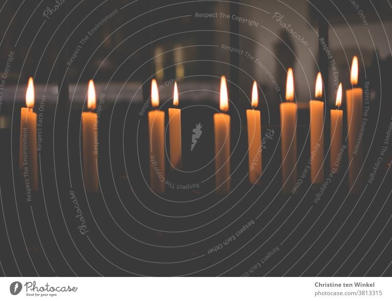 Brennende Kerzen in einer kleinen Kapelle spenden Trost, Licht und Wärme Kirche Religion & Glaube Kerzenaltar Hoffnung Gebet Dankbarkeit beten Christentum