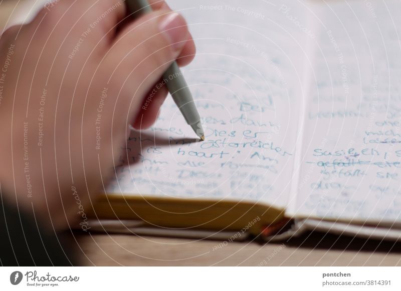 Jemand schreibt mit einem Kugelstift in ein Tagebuch. hand schreiben lebensgeschichte autobiographisch wörter Papier Notizbuch Schriftstück Jugend geschichten