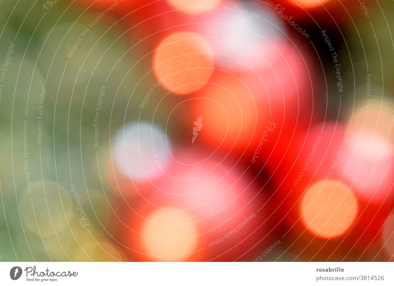 Farbkombination | weihnachtliches Bokeh in rot, grün und gelb - rote Kugeln am Tannenbaum mit Lichterkette Weihnachten abstrakt Kreise unscharf Weihnachtsbaum