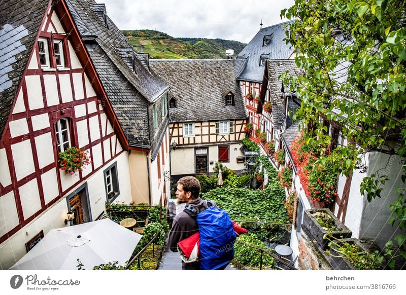 moselgeschichten Herbst Jahreszeiten herbstlich Moseltal Hunsrück Mosel (Weinbaugebiet) Flussufer Wege & Pfade Rheinland-Pfalz Weinberg wandern