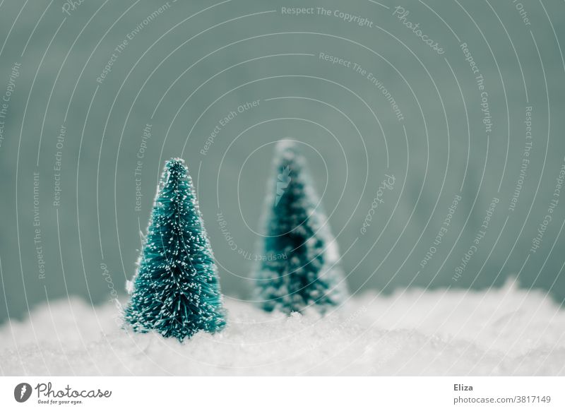 Winterliche Miniaturen zweier Tannenbäume im Schnee Weihnachten weiß kalt Wald weisse weihnachten Jahreszeiten Natur künstlich unecht verschneit schneebedeckt