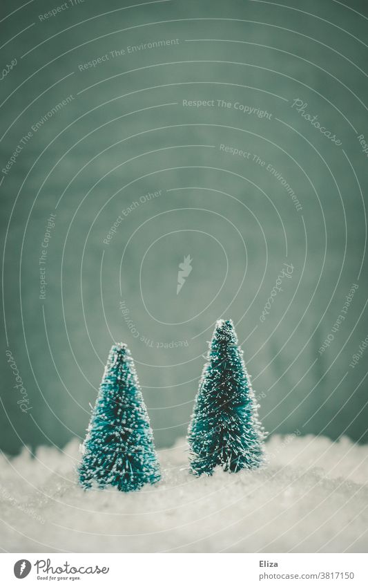 Zwei Tannenbäume im Schnee. Winter und Weihnachten. Tannenbaum Winterlandschaft Baum kalt Jahreszeiten blau Schneelandschaft Bäume