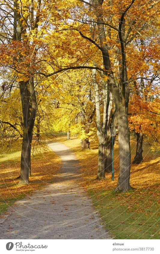 Weg durch einen Park mit herbstlich bunt gefärbten Laubbäumen und Blättern auf der Wiese sowie einer Straßenlaterne - goldener Oktober Herbst Herbstfärbung Baum