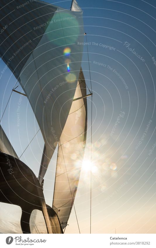 Das Segel der Yacht bläht sich auf im Wind und verdeckt teilweise die Sonne Mast Segelboot segeln Wassersport Himmel Sonnenstrahlen Blau Weiß Tag Ferien
