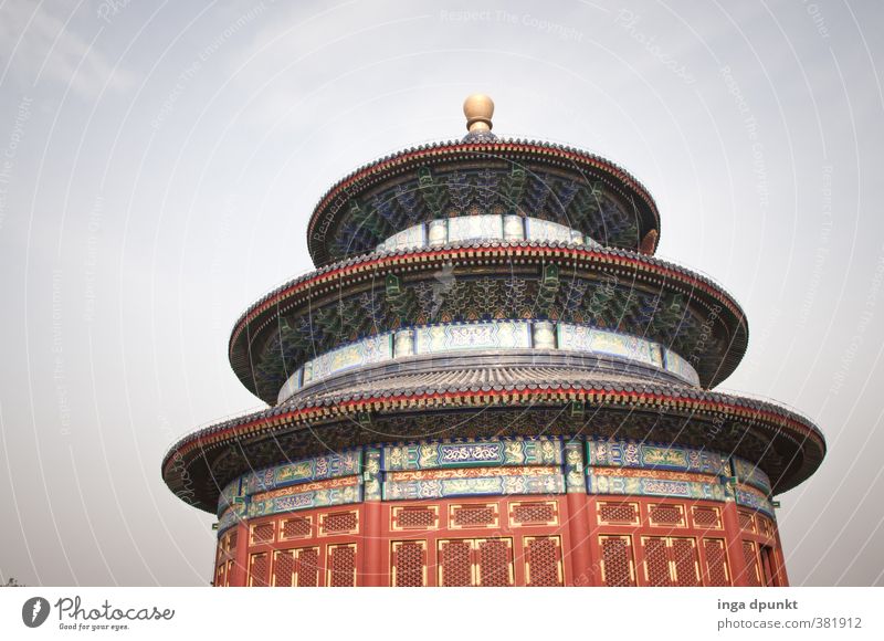 Temple of Heaven Kultur Tempel Himmelstempel Peking China Asien außergewöhnlich Kraft Fernweh Glaube Religion & Glaube Ferien & Urlaub & Reisen Bauwerk