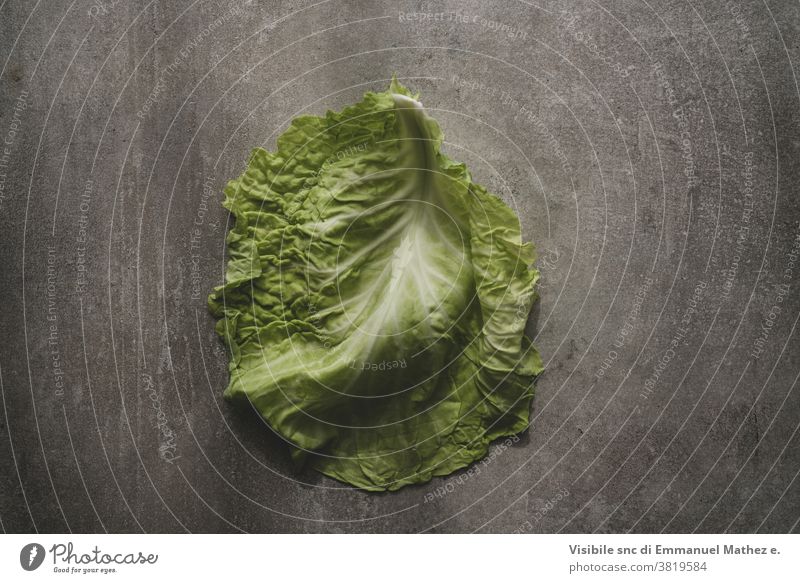Kohlblatt auf grauem Beton-Hintergrund Blatt Diät roh Gemüse organisch frisch Natur Vegetarier Kohlgewächse weiß Ackerbau Bestandteil grün Lebensmittel