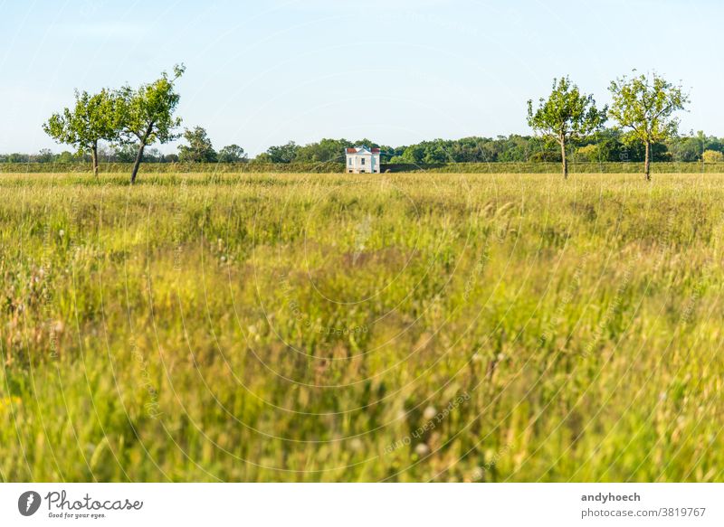 Einzelne weiße Villa am Rande eines Deiches Architektur Hintergrund schön Grenzen Gebäude wolkenlos farbenfroh Landschaft Landkreis Damm Ausflugsziel