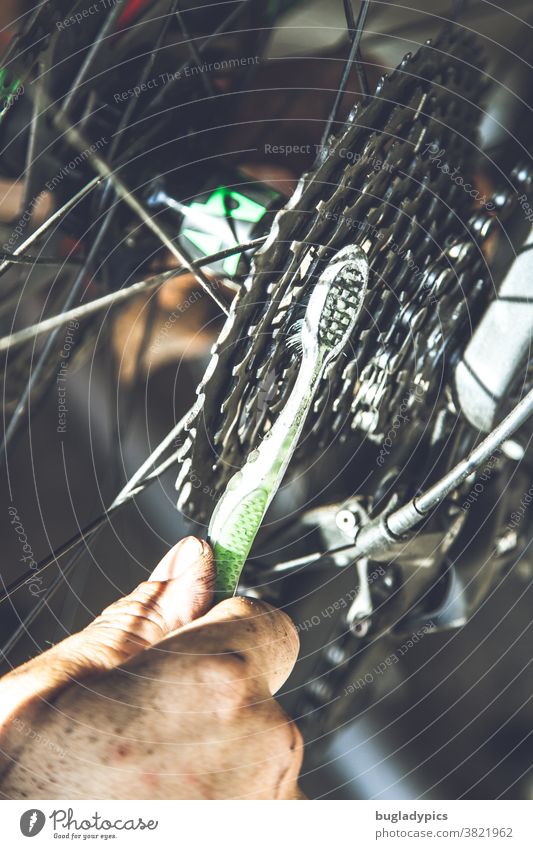 Man sieht eine Männerhand die mit einer grün weißen Zahnbürste die Ritzel /Zahnräder eines Fahrrads sauber bürstet Fahrradfahren Fahrradkette Kette Kettenfett