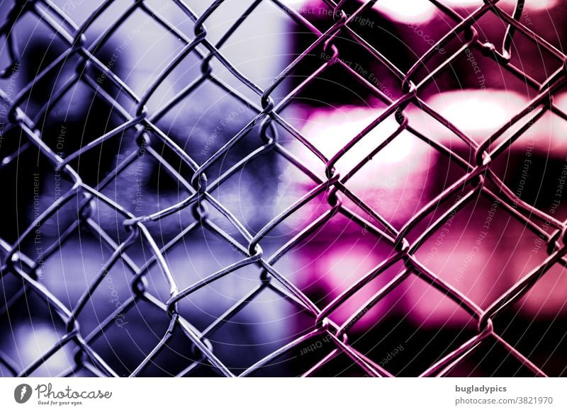 Doppelter Maschendraht vor unscharfen Hintergrund in pink und lila/ Violet Maschendrahtzaun Zaun Drahtzaun Sicherheit Schutz Barriere Grenze Verbote gefangen