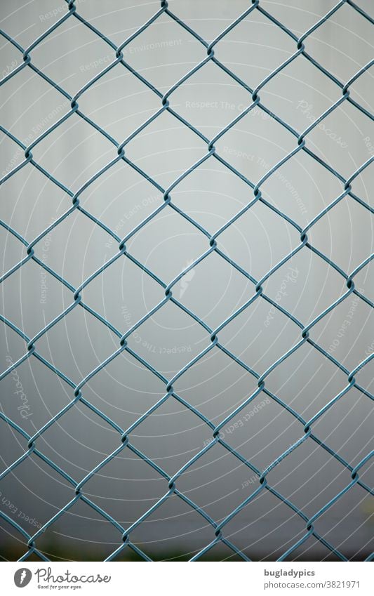 Blauer Maschendrahtzaun vor unscharfem grauen Hintergrund Zaun Metall Metallzaun Trennung Grenze Abgrenzung blau Grundstücksgrenze Sicherheit Drahtzaun Schutz