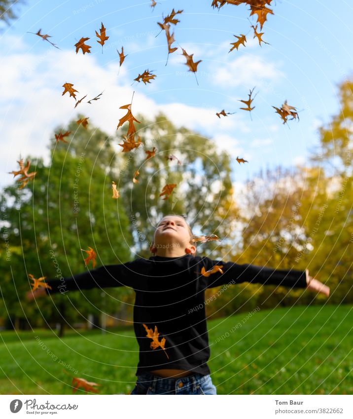 Junge wirft im Park gelb orange farbene Laubblätter in die Luft Herbstlaub Kind in den himmel schauen Blauer Himmel Froschperspektive Eichenblatt blätter fallen
