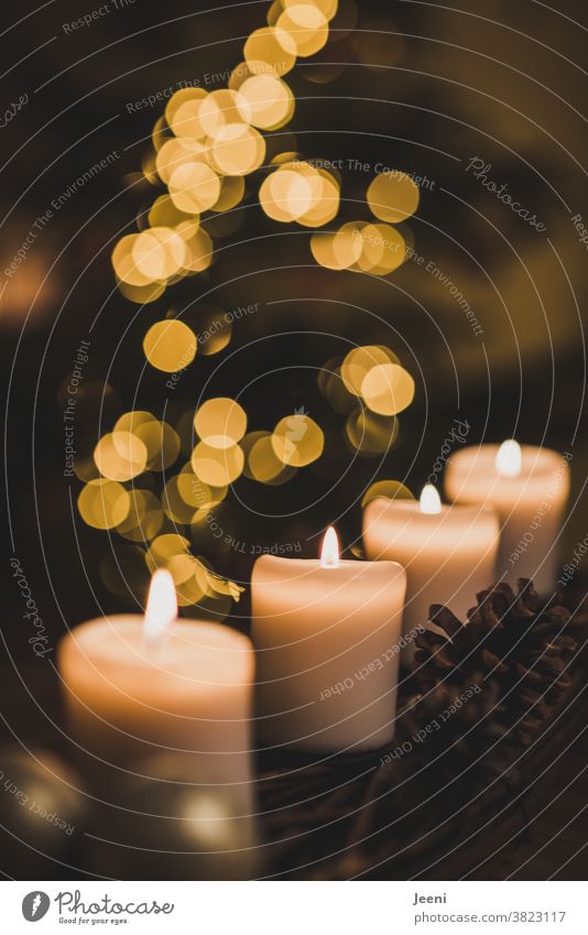 Adventsgesteck mit vier Kerzen. Im Hintergrund die verschwommenen Lichter des Weihnachtsbaumes. Weihnachten & Advent Adventskranz 4 brennen Flamme Wärme Feuer