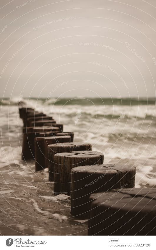 Wellen schlagen gegen die Buhnen aus Holz in der Ostsee Strand Meer Küste Wasser Sturm Himmel grau schlechtes Wetter Mecklenburg-Vorpommern Landschaft Horizont