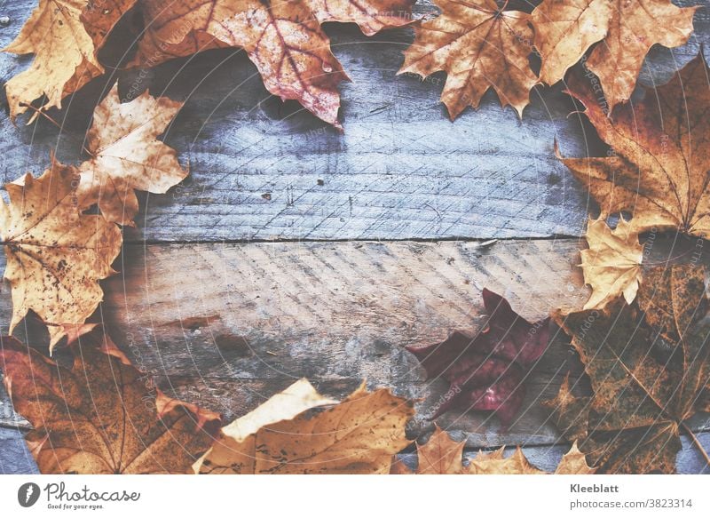 Braunrotes Herbstlaub rund angeordnet auf graubraunem altem Holz mattiert viel Textfreiraum in der Mitte herbstlich Herbstfärbung Laub bunt Blatt Farbfoto