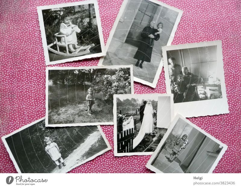 Erinnerungen - alte schwarz-weiß-Fotos aus der Kindheit liegen auf rot-weiß-gepunktetem Hintergrund Mensch Kleinkind Schulkind Mutter Frau Oma Opa Hochzeit