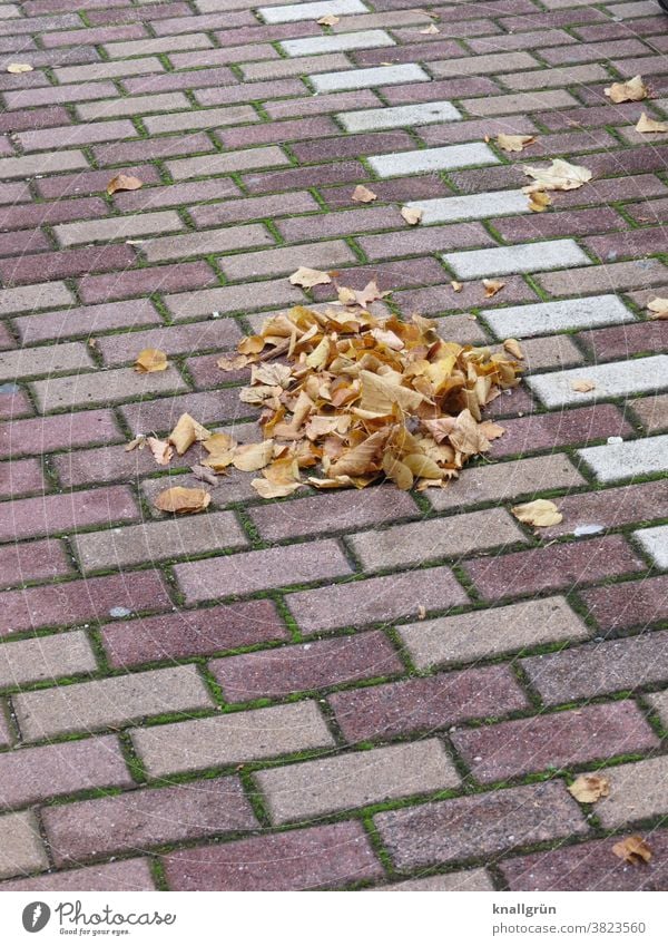 Kleiner Laubhaufen auf einem Parkplatz Herbst Blätter Haufen Blatt Außenaufnahme Herbstlaub Tag Herbstfärbung herbstlich Natur Menschenleer Farbfoto