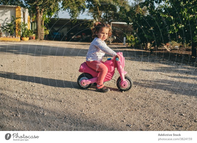 Nettes Mädchen reitet Spielzeug Fahrrad im Hof Mitfahrgelegenheit Kind bezaubernd niedlich Sommer sonnig spielen sorgenfrei Wochenende Aktivität