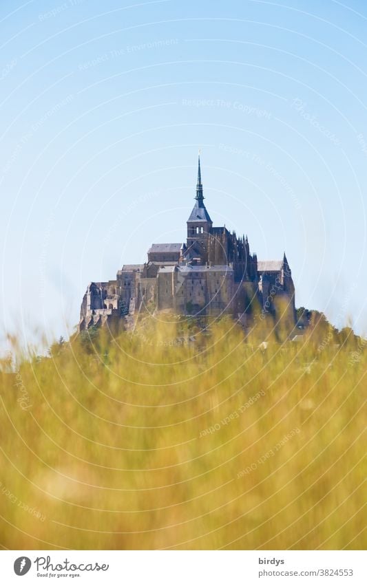 Mont Saint Michel, Inselkloster in Frankreich , unscharfer Grashügel im Vordergrund mont saint michel Insel Mont-Saint-Michel Ferien & Urlaub & Reisen