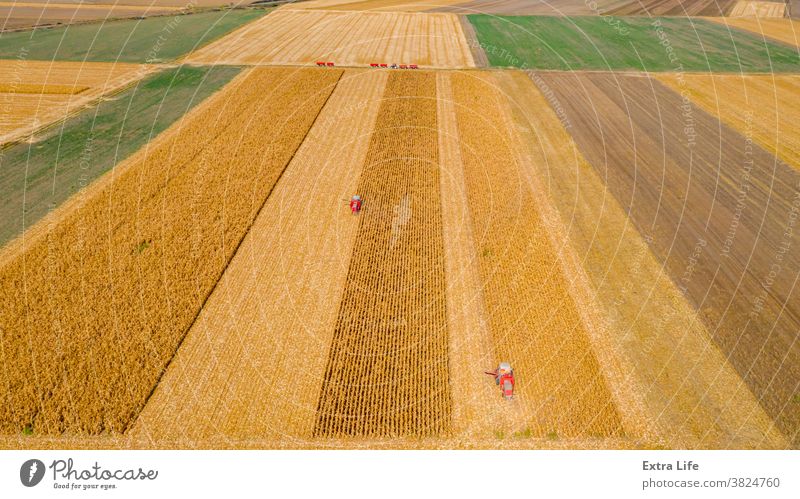Luftaufnahme von zwei Mähdreschern, Erntemaschinen ernten reifen Mais oben Antenne landwirtschaftlich Ackerbau Agronomie Müsli Kornfeld Land kultiviert