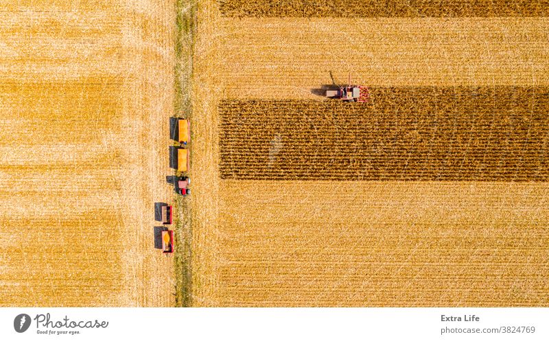 Ansicht von oben auf Mähdrescher, Erntemaschine, erntereifen Mais Antenne landwirtschaftlich Ackerbau Agronomie Müsli Kornfeld Land kultiviert Bodenbearbeitung