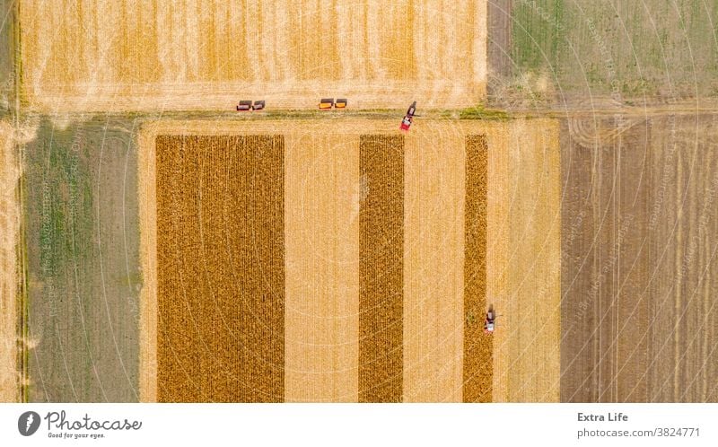 Luftaufnahme von zwei Mähdreschern, Erntemaschinen ernten reifen Mais oben Antenne landwirtschaftlich Ackerbau Agronomie Müsli Kornfeld Land Bodenbearbeitung