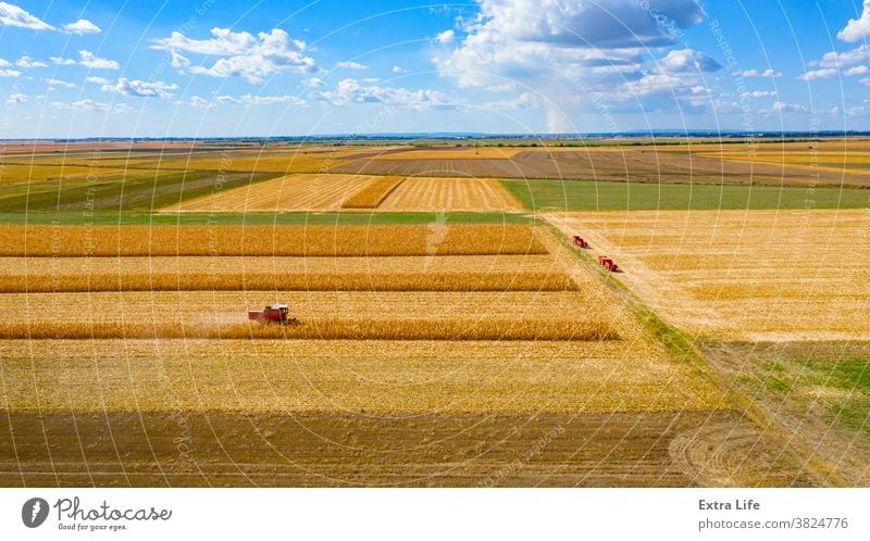 Luftaufnahme von Mähdrescher, Erntemaschine ernten reifen Mais oben Antenne landwirtschaftlich Ackerbau Müsli Wolkenlandschaft Kornfeld Land kultiviert