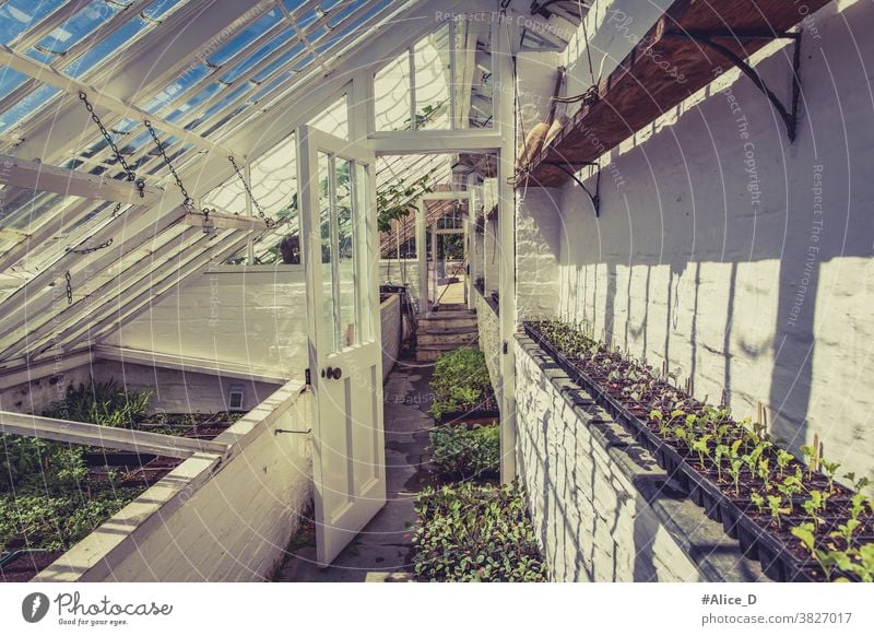 Gewächshaus Heligan landwirtschaftlich Ackerbau Architektur schön Botanik Gebäude farbenfroh Cornwall Ernte kultivieren Bodenbearbeitung Design Öko Ökologie