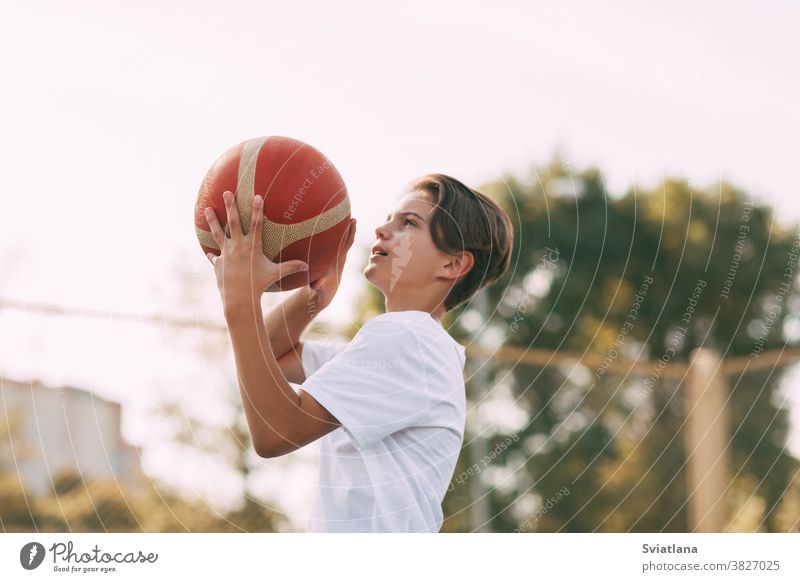 Nahaufnahme der Hände eines jungen Sportlers, der einen Basketball hält. Der Athlet bereitet sich auf den Wurf vor. Sport, Athlet Werfen Ball Spieler Junge