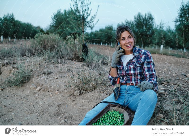Frau benutzt Smartphone auf dem Bauernhof Landwirt sich[Akk] entspannen sprechend Arbeiter Nachricht Telefon Mobile online Browsen Boden Anschluss sitzen