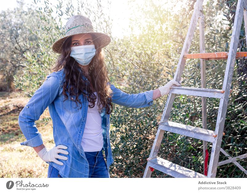 Porträt einer jungen Frau, die bei der Ernte arbeitet Landwirt Mundschutz pflücken reif Frucht oliv kultivieren Schonung COVID19 Coronavirus Bauernhof Bund 19